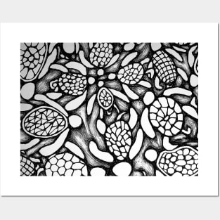 Black and White Turtles Posters and Art